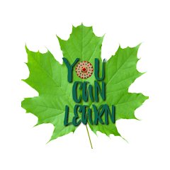 You Can Learn App Logo